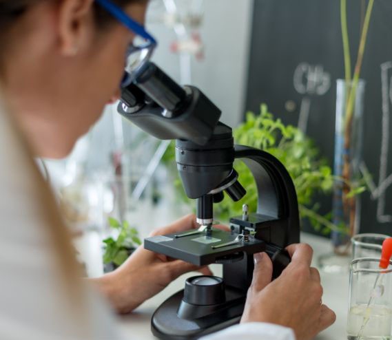 Product mockup placeholder